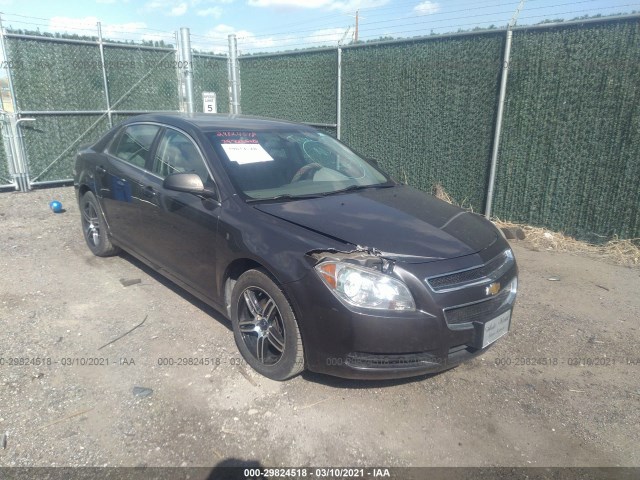 CHEVROLET MALIBU 2010 1g1za5e00af282528