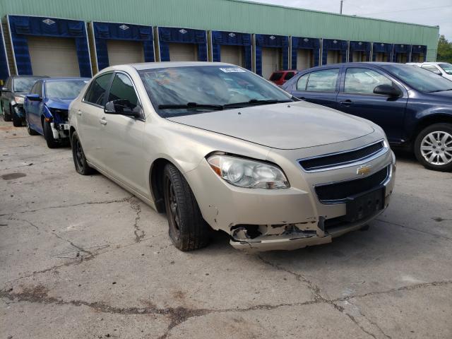 CHEVROLET MALIBU LS 2010 1g1za5e00af283162