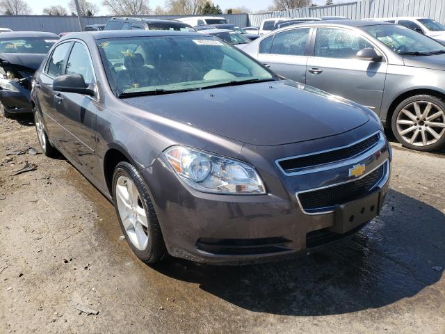 CHEVROLET MALIBU LS 2010 1g1za5e00af285462