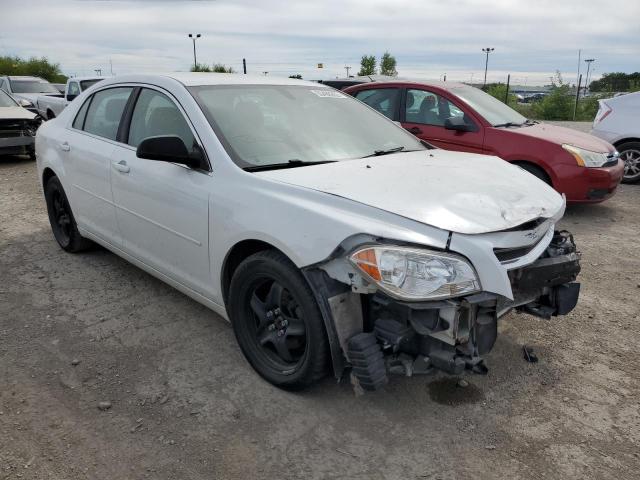 CHEVROLET MALIBU LS 2012 1g1za5e00cf394295