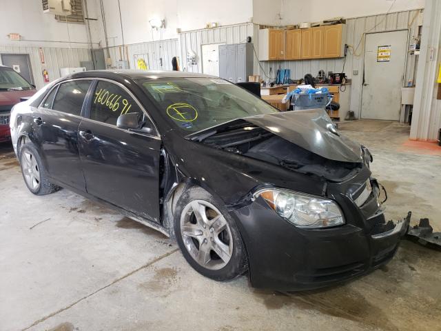 CHEVROLET MALIBU LS 2010 1g1za5e01a4100119