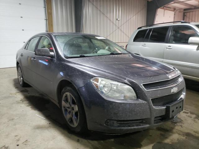 CHEVROLET MALIBU LS 2010 1g1za5e01a4109077