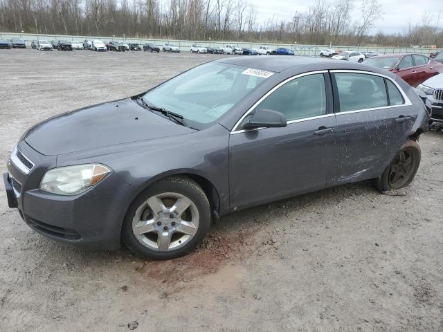 CHEVROLET MALIBU 2010 1g1za5e01a4115767