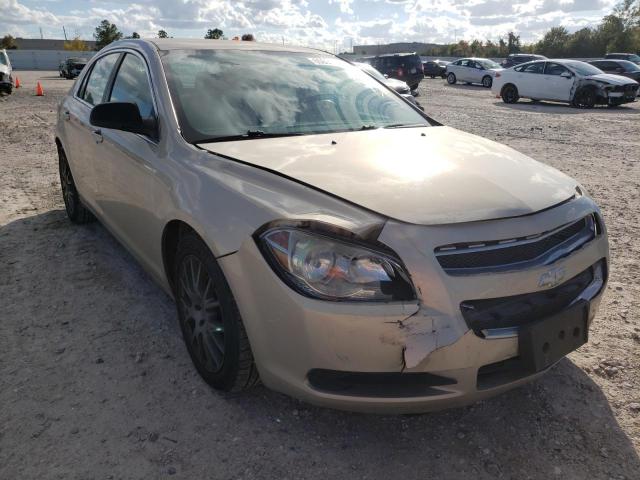 CHEVROLET MALIBU LS 2010 1g1za5e01af131634