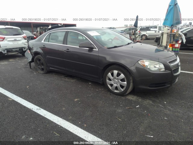 CHEVROLET MALIBU 2010 1g1za5e01af216568