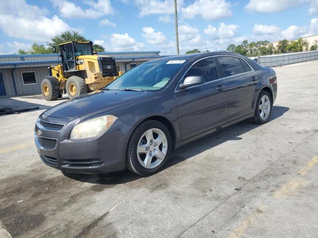 CHEVROLET MALIBU LS 2010 1g1za5e01af254608