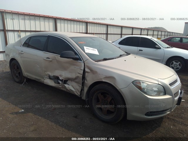 CHEVROLET MALIBU 2010 1g1za5e02af105592