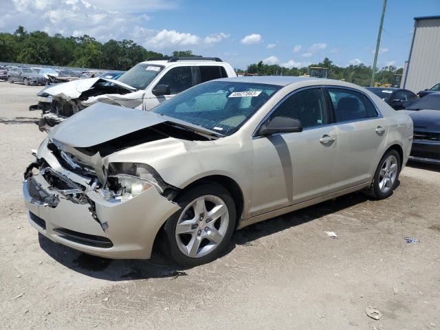 CHEVROLET MALIBU LS 2010 1g1za5e02af201173