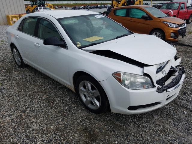 CHEVROLET MALIBU LS 2010 1g1za5e02af255007