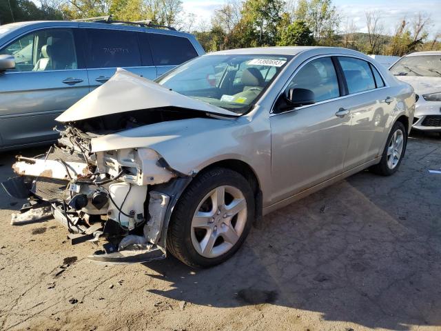 CHEVROLET MALIBU 2010 1g1za5e02af289917