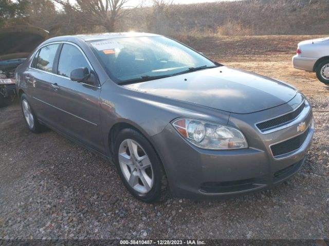 CHEVROLET MALIBU 2010 1g1za5e02af317912