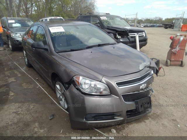 CHEVROLET MALIBU 2010 1g1za5e02af318283