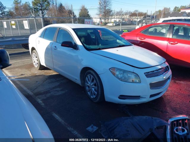 CHEVROLET MALIBU 2010 1g1za5e03a4104883