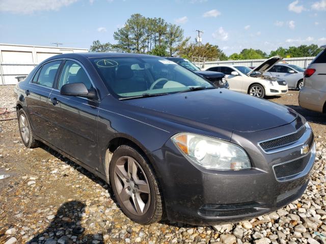 CHEVROLET MALIBU LS 2010 1g1za5e03a4109016