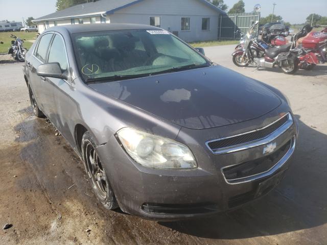 CHEVROLET MALIBU LS 2010 1g1za5e03a4109727