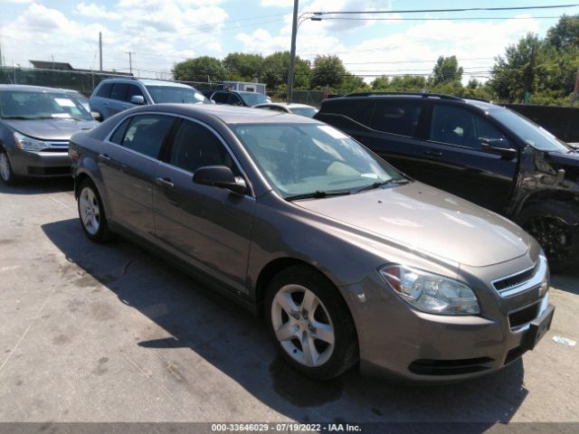 CHEVROLET MALIBU 2010 1g1za5e03a4112885