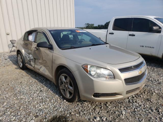 CHEVROLET MALIBU LS 2010 1g1za5e03af111630