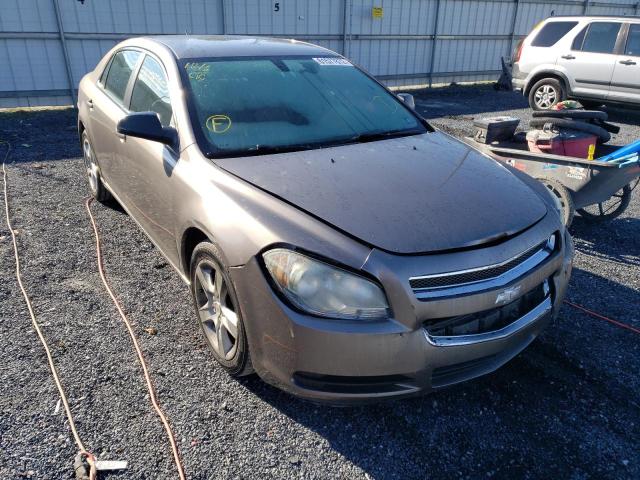 CHEVROLET MALIBU LS 2010 1g1za5e03af175702