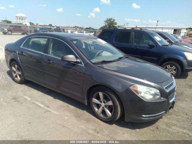 CHEVROLET MALIBU 2010 1g1za5e03af215647