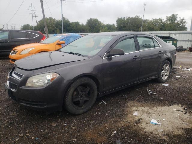 CHEVROLET MALIBU LS 2010 1g1za5e03af278778