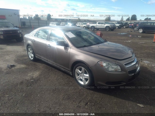 CHEVROLET MALIBU 2010 1g1za5e03af282099