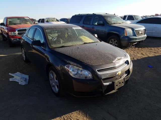 CHEVROLET MALIBU 2010 1g1za5e03af288307