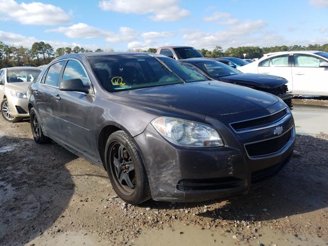 CHEVROLET MALIBU LS 2010 1g1za5e03af289912