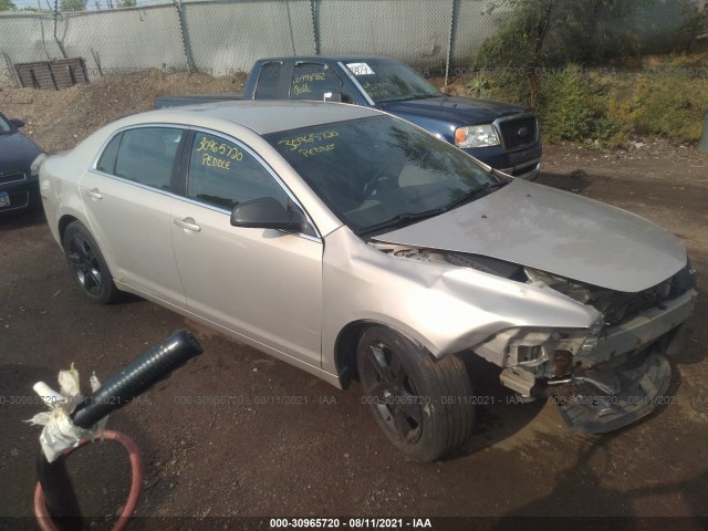 CHEVROLET MALIBU 2010 1g1za5e03af290168