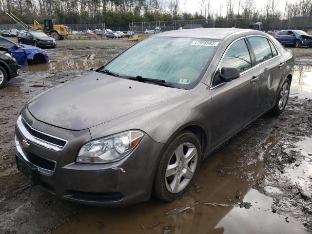 CHEVROLET MALIBU LS 2012 1g1za5e03cf219667