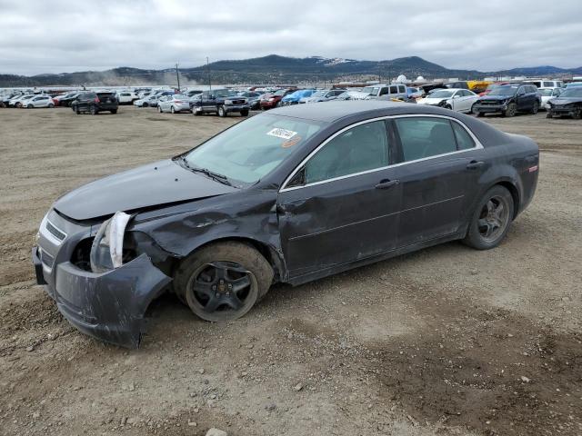 CHEVROLET MALIBU 2012 1g1za5e03cf385543