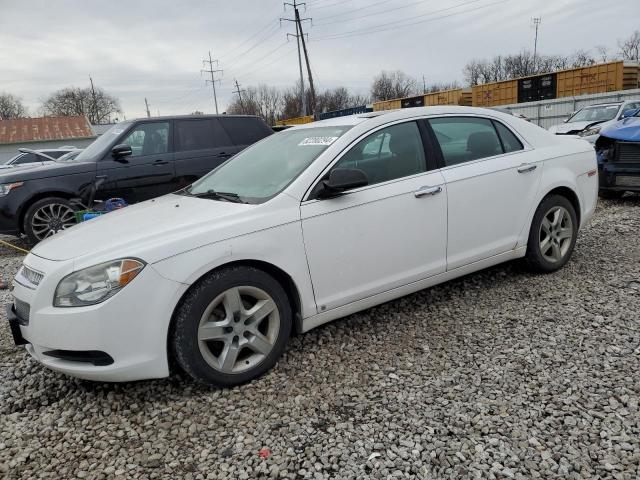 CHEVROLET MALIBU LS 2010 1g1za5e04a4103936