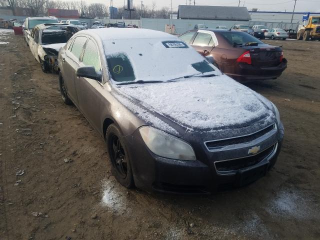 CHEVROLET MALIBU LS 2010 1g1za5e04a4121594