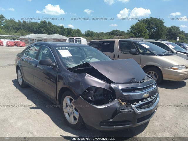 CHEVROLET MALIBU 2010 1g1za5e04a4131817