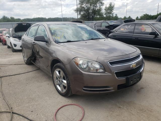 CHEVROLET MALIBU LS 2010 1g1za5e04af193108