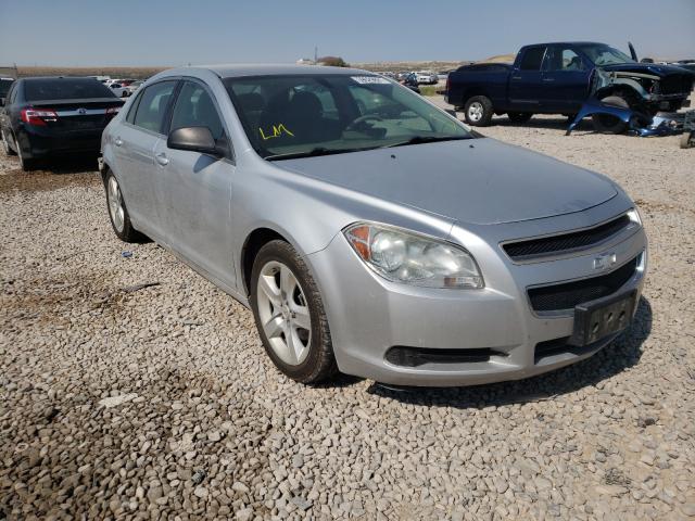 CHEVROLET MALIBU LS 2010 1g1za5e04af202843