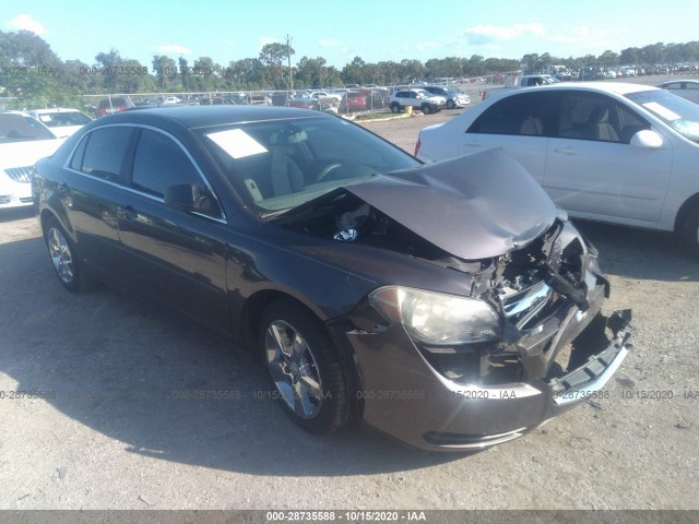 CHEVROLET MALIBU 2010 1g1za5e04af217343