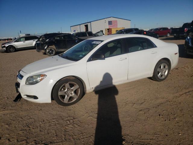 CHEVROLET MALIBU LS 2010 1g1za5e05a4104058