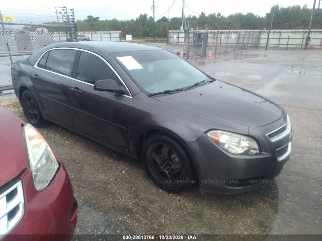 CHEVROLET MALIBU 2010 1g1za5e05a4108868