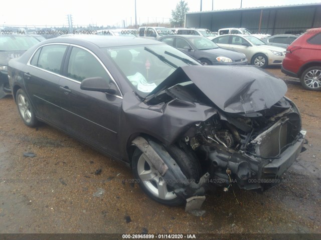 CHEVROLET MALIBU 2010 1g1za5e05a4137075