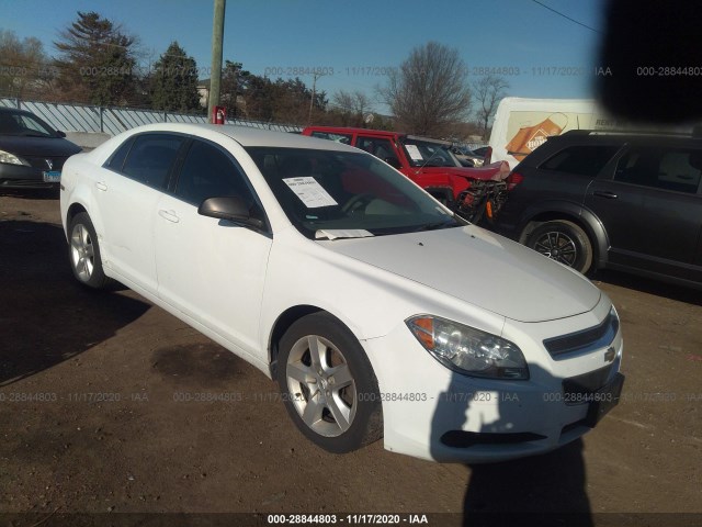 CHEVROLET MALIBU 2010 1g1za5e05a4142941