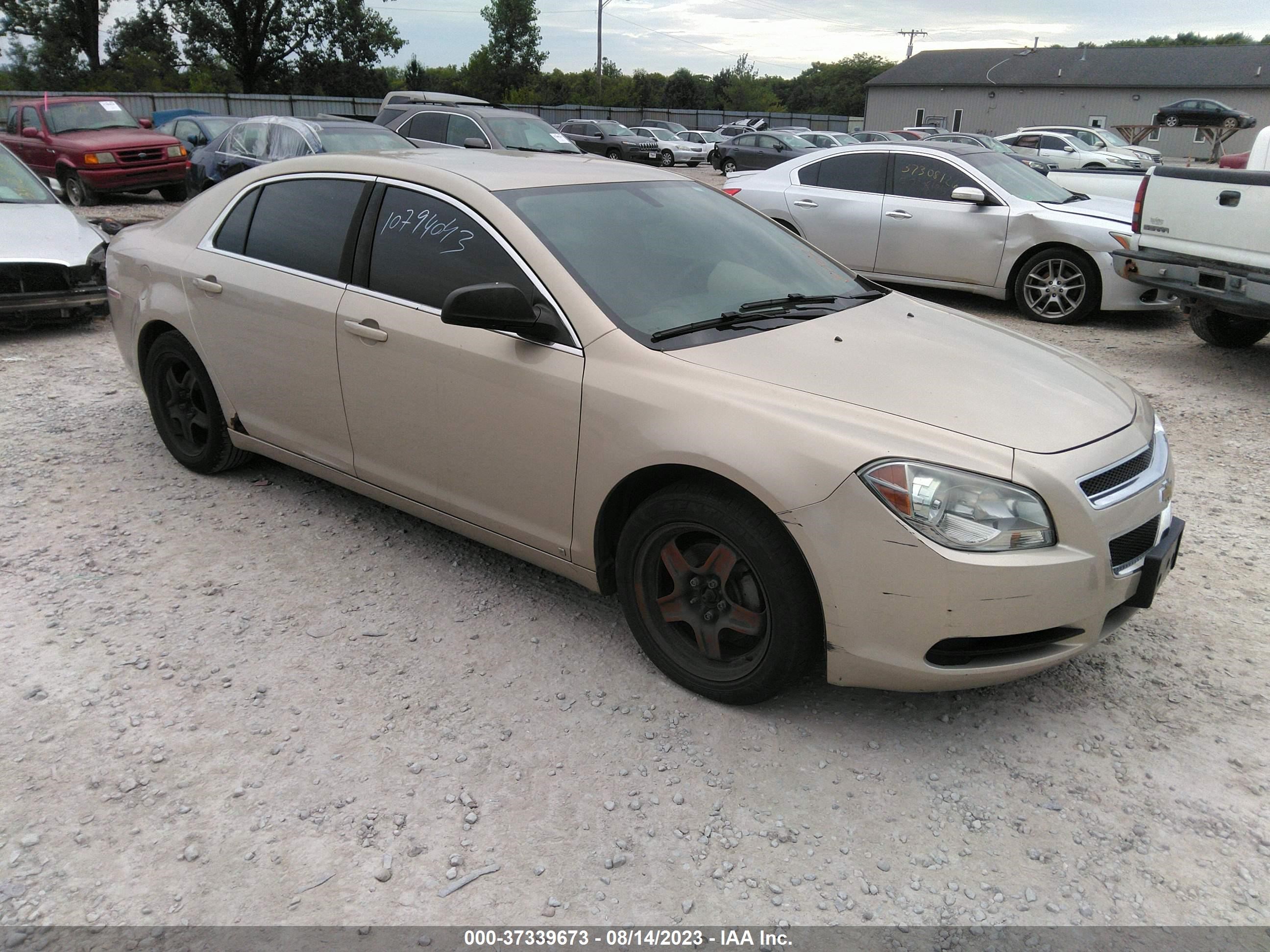 CHEVROLET MALIBU 2010 1g1za5e05af105621