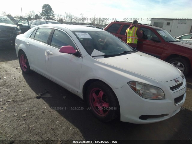 CHEVROLET MALIBU 2010 1g1za5e05af106171