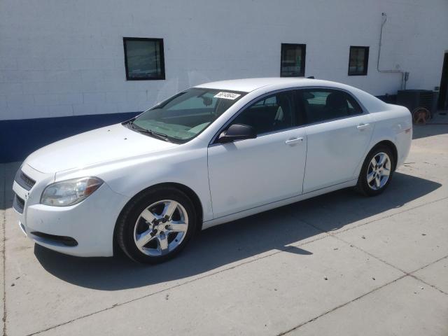 CHEVROLET MALIBU LS 2012 1g1za5e05cf371918