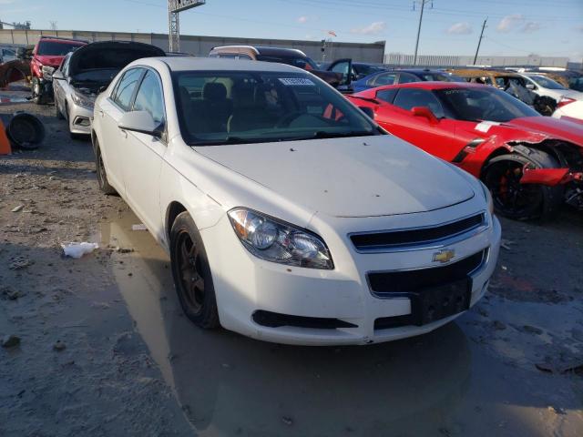 CHEVROLET MALIBU LS 2010 1g1za5e06a4104246