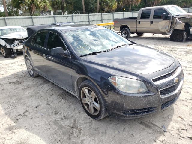 CHEVROLET MALIBU LS 2010 1g1za5e06a4109494