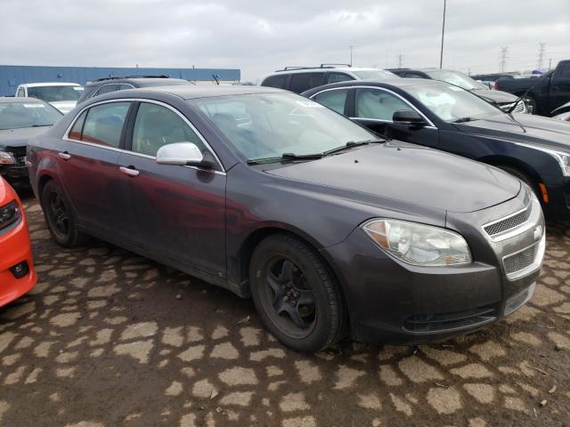 CHEVROLET MALIBU LS 2010 1g1za5e06a4113237