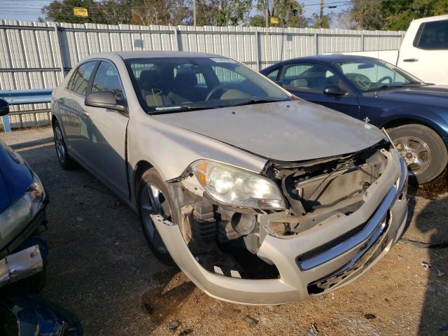 CHEVROLET MALIBU LS 2010 1g1za5e06af111041