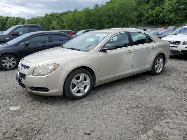 CHEVROLET MALIBU LS 2010 1g1za5e06af111623