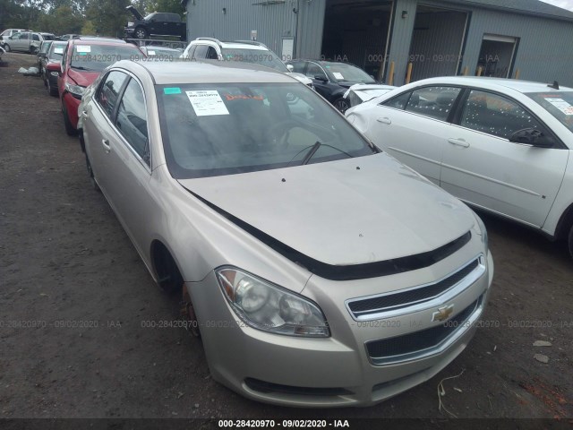 CHEVROLET MALIBU 2010 1g1za5e06af283571