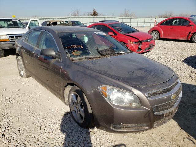 CHEVROLET MALIBU LS 2010 1g1za5e06af283652